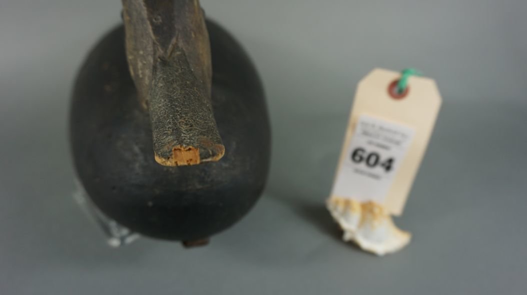 Image for Winter Sportsman's Timed Auction '21