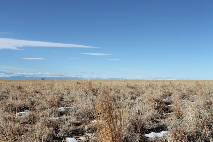 Image for PUEBLO COUNTY, CO - CRP {C4062}