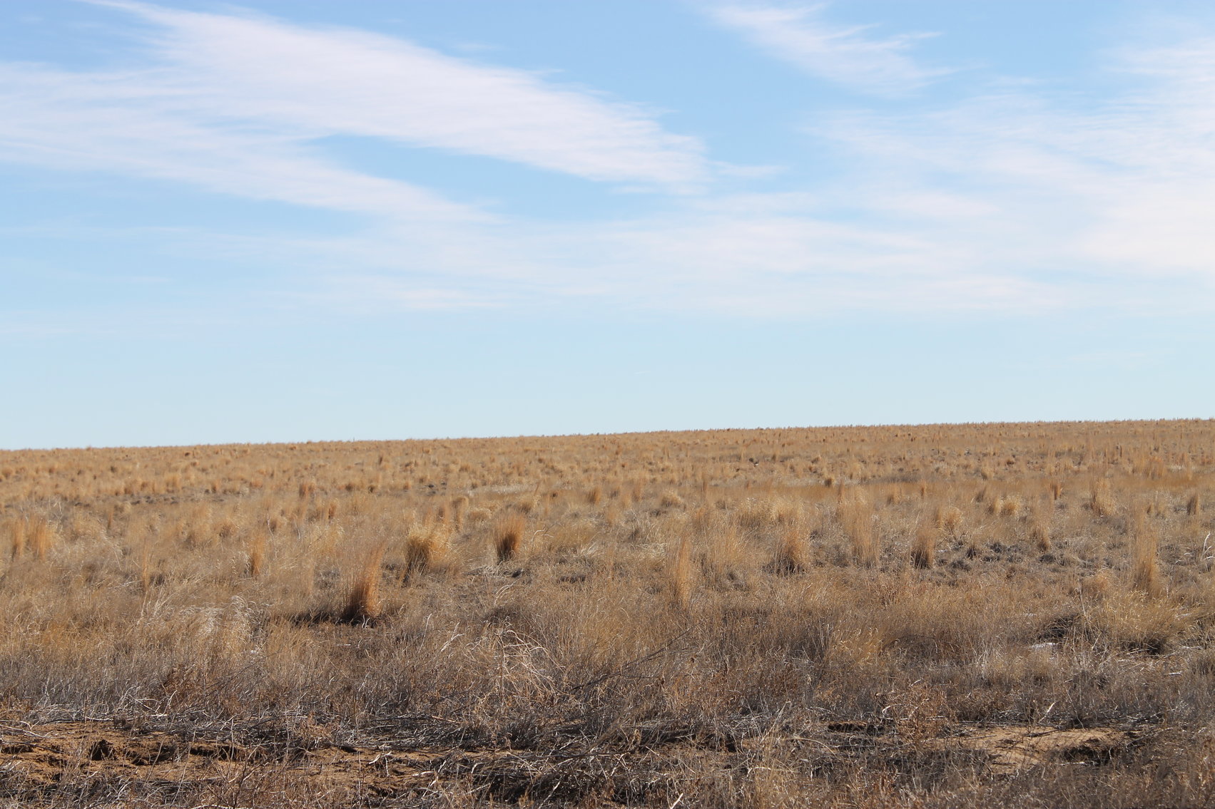 Image for PUEBLO COUNTY, CO - CRP {C4061}