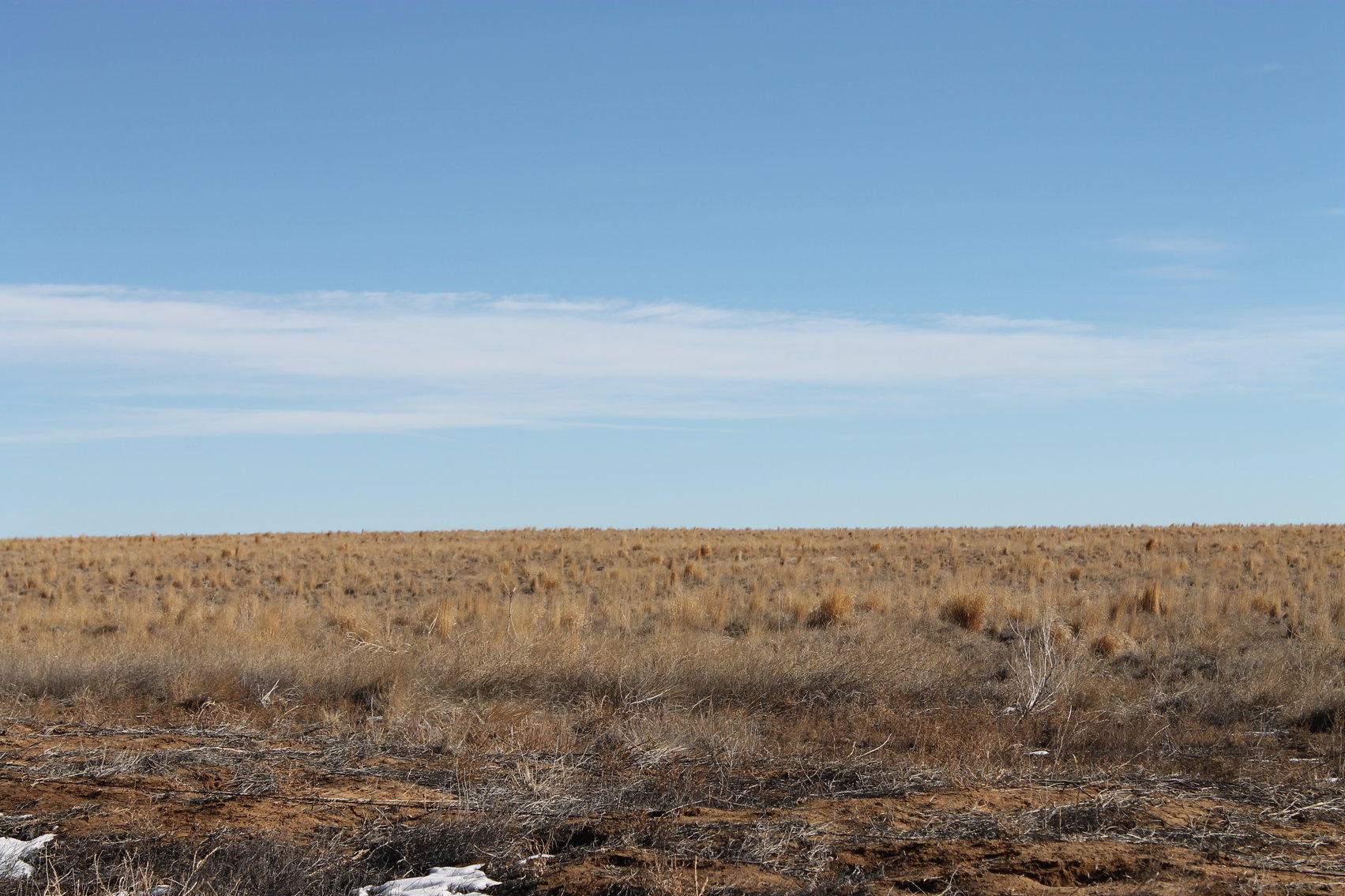 Image for PUEBLO COUNTY, CO - CRP {C4061}