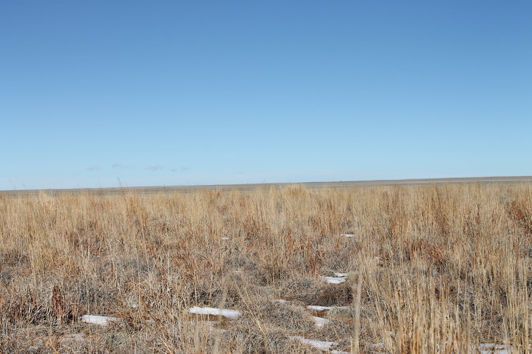 Image for PUEBLO COUNTY, CO - CRP {C4061}