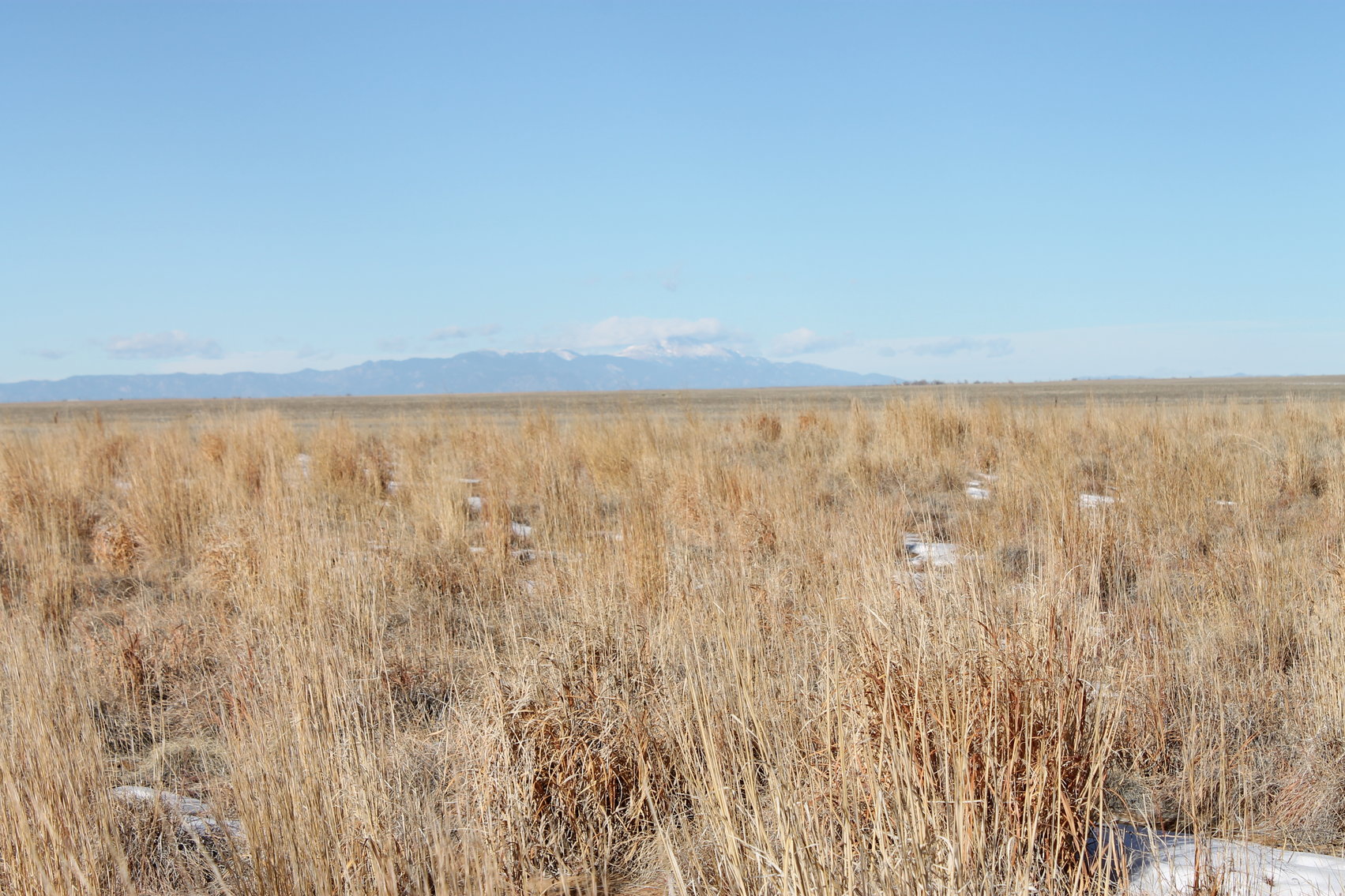 Image for PUEBLO COUNTY, CO - CRP {C4061}