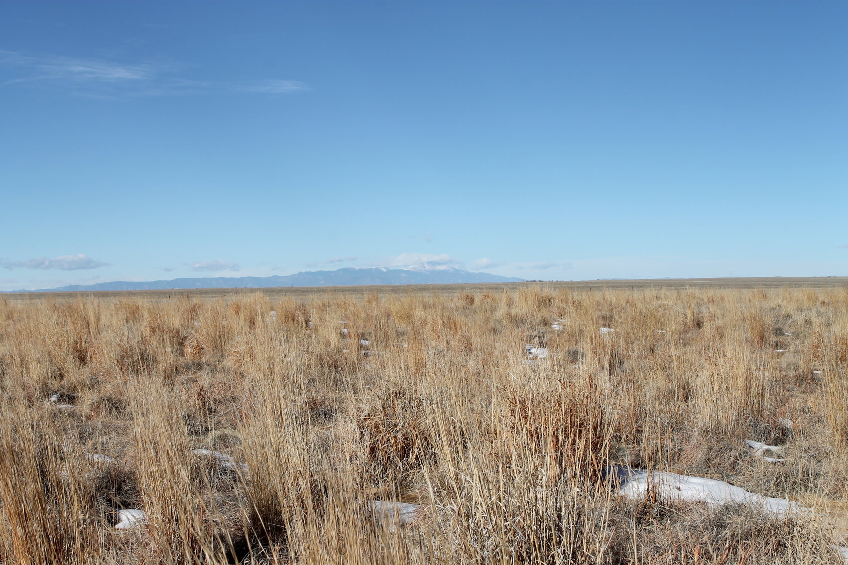 Image for PUEBLO COUNTY, CO - CRP {C4061}