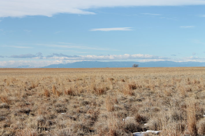 Image for PUEBLO COUNTY, CO - CRP {C4062}