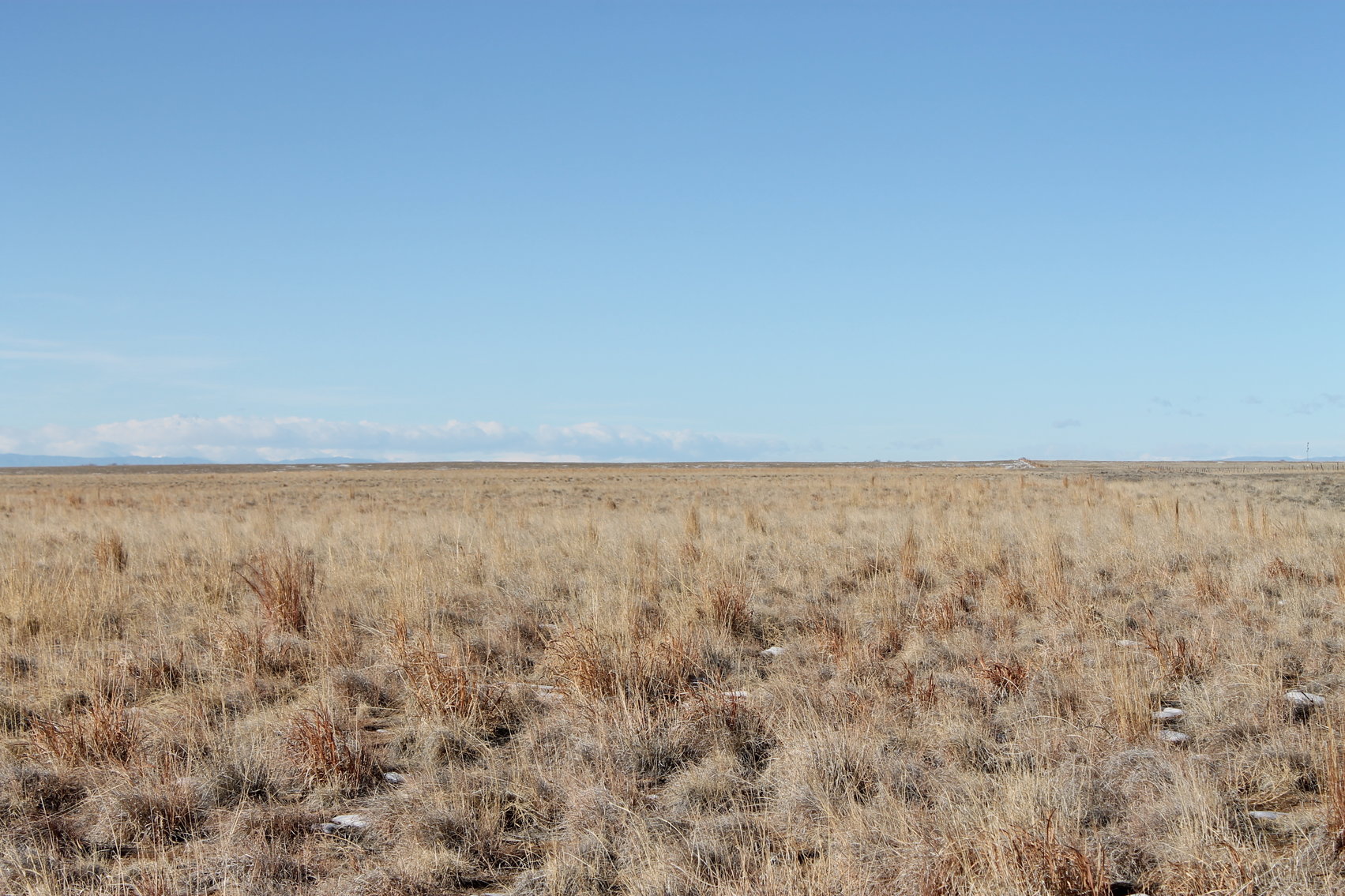 Image for PUEBLO COUNTY, CO - CRP {C4062}
