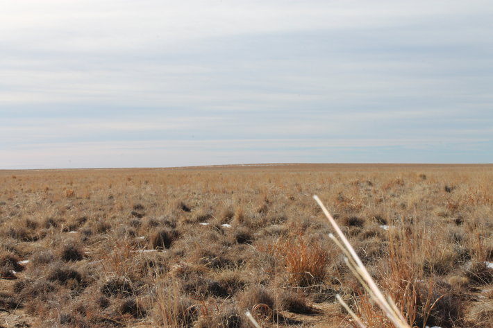 Image for PUEBLO COUNTY, CO - CRP {C4062}