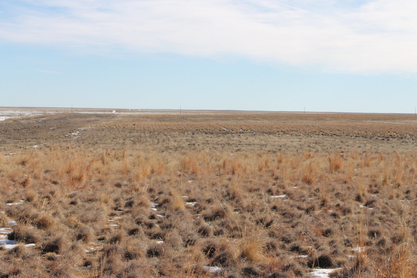 Image for PUEBLO COUNTY, CO - CRP {C4062}