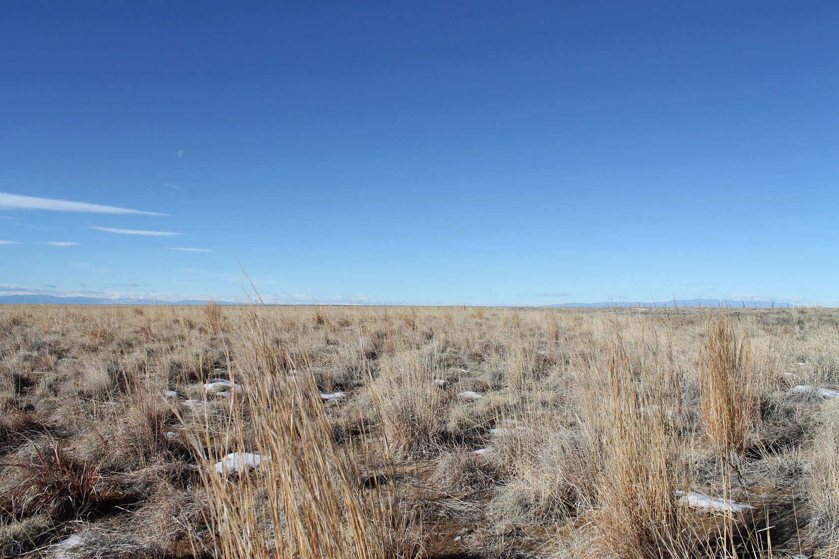 Image for PUEBLO COUNTY, CO - CRP {C4062}