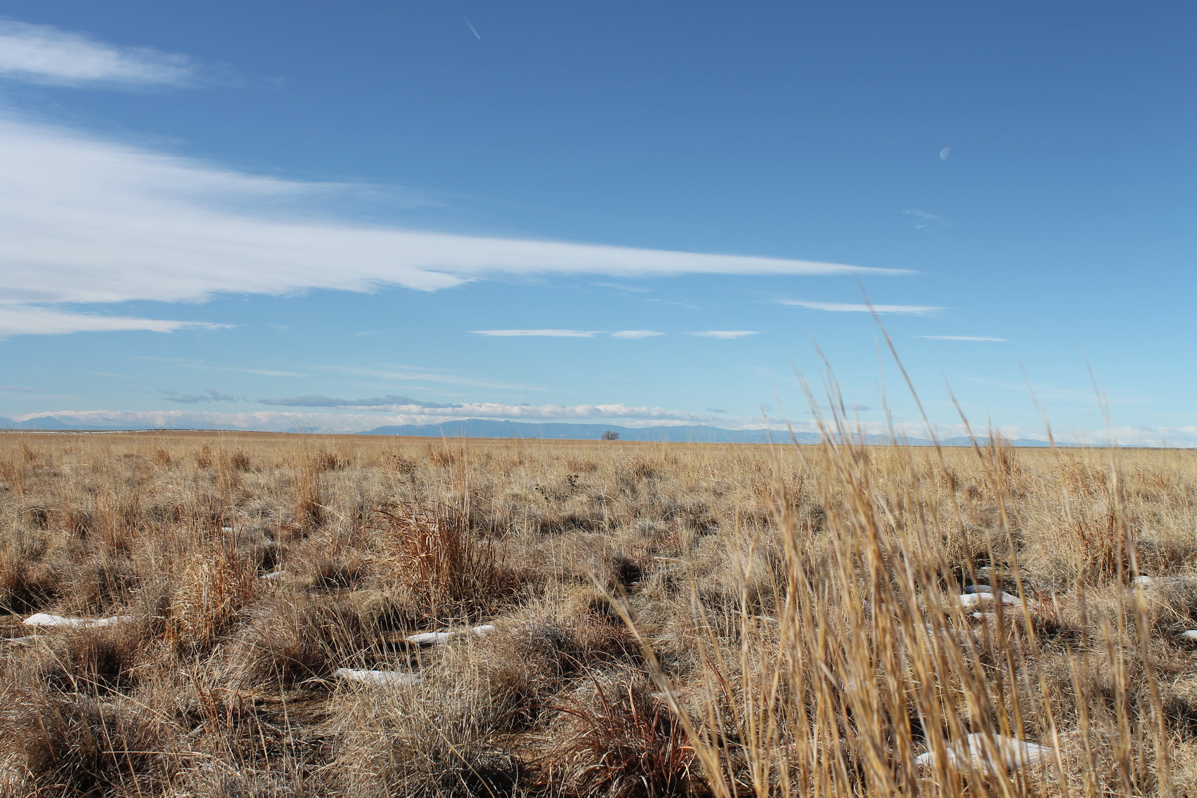 Image for PUEBLO COUNTY, CO - CRP {C4062}