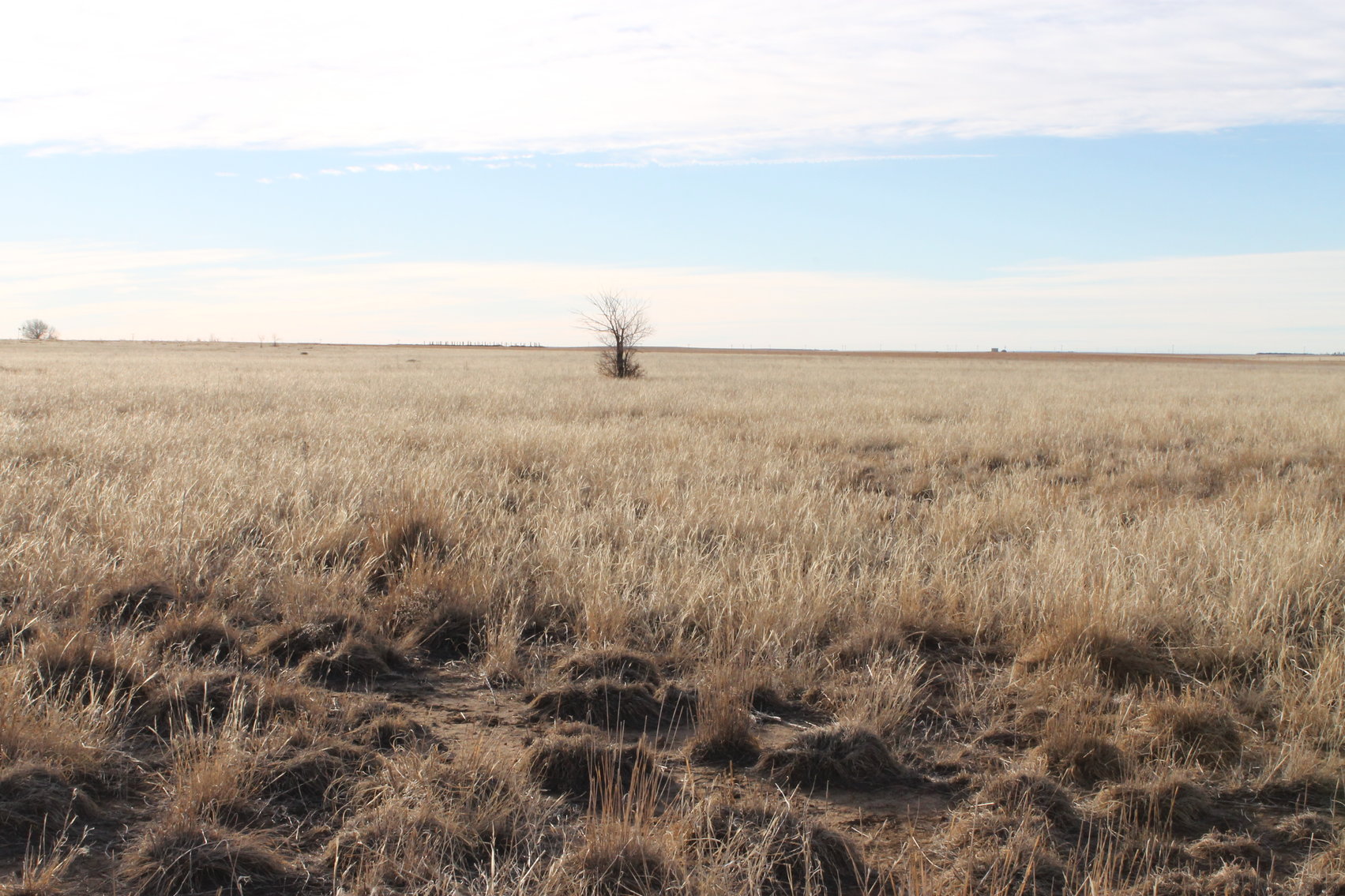 Image for LINCOLN COUNTY, CO - VACANT LOT {C4055}