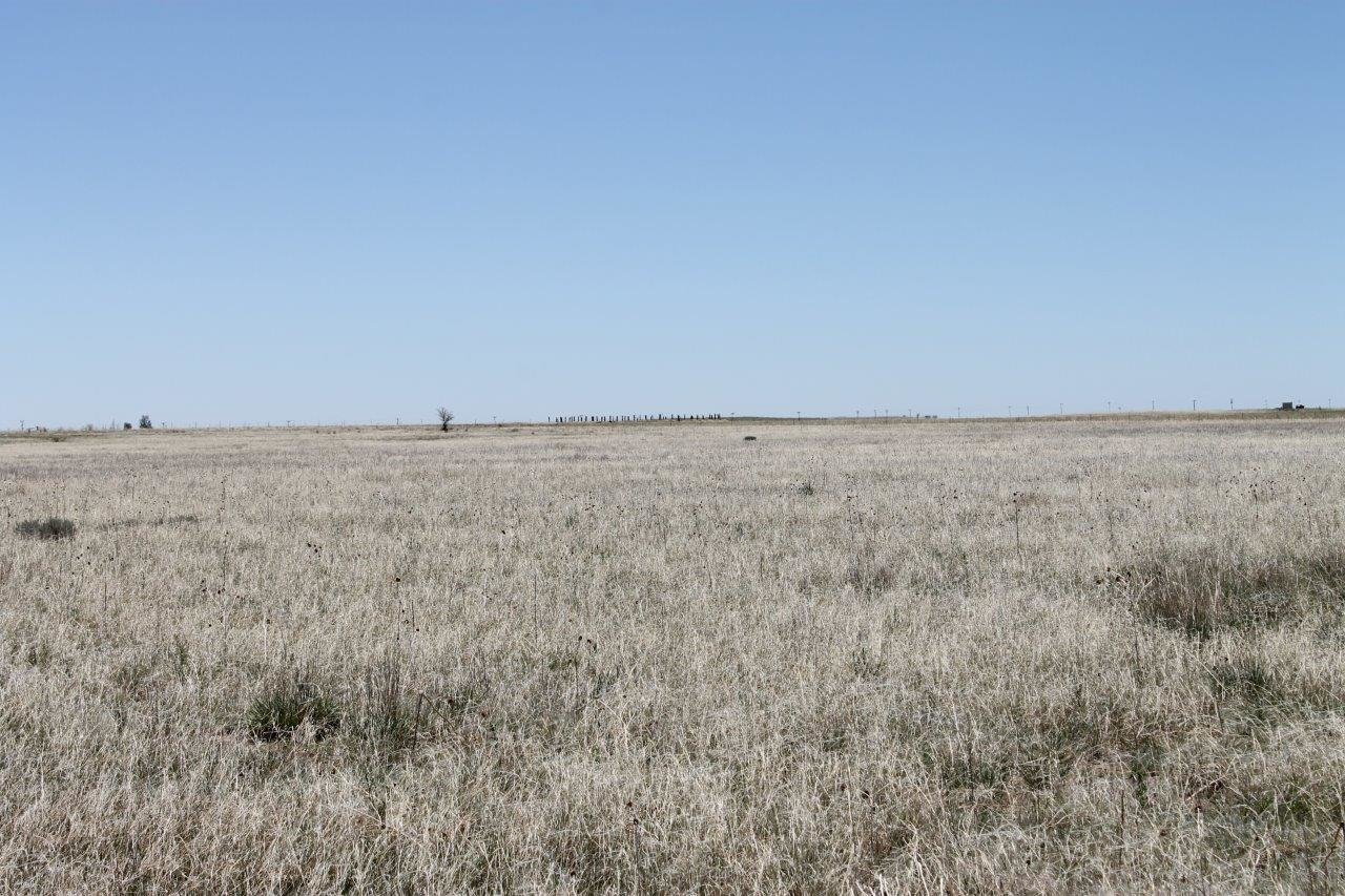 Image for LINCOLN COUNTY, CO - VACANT LOT {C4055}