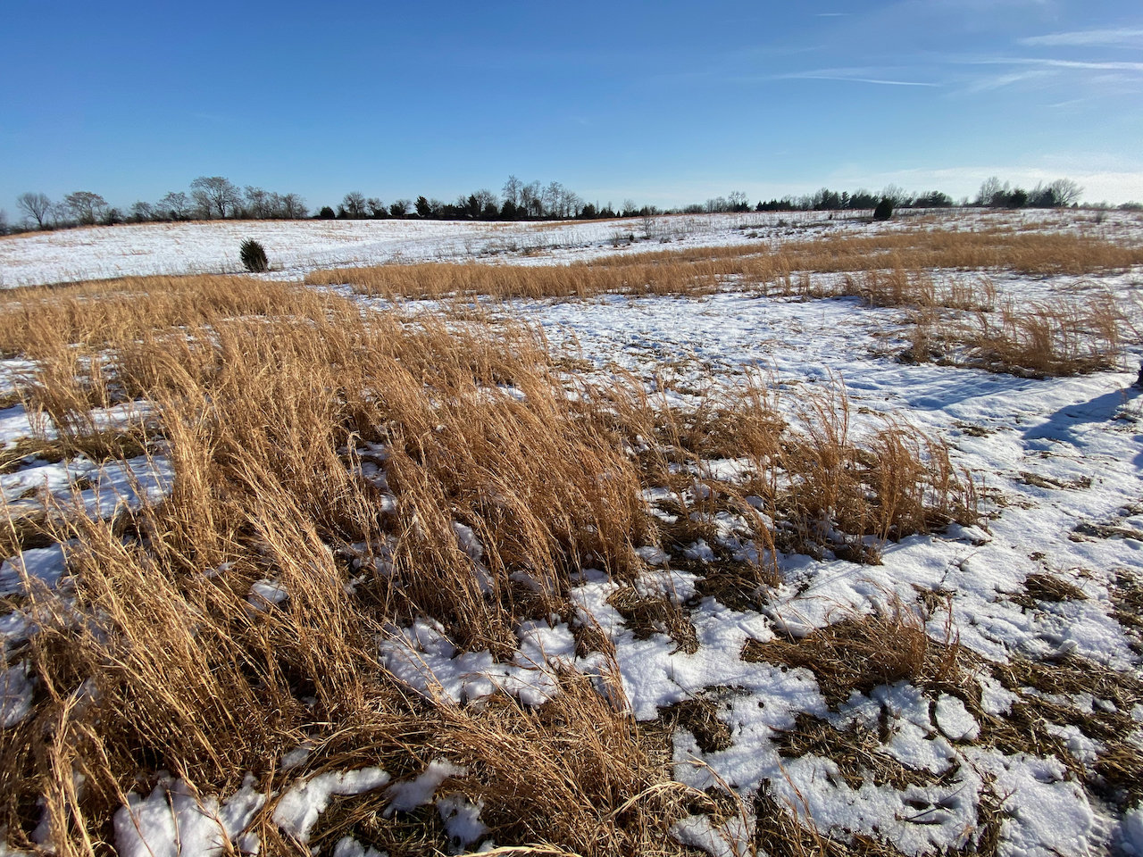 Image for 35 +/- Acres Zoned C-2 & CI-1 in Loudoun County, VA