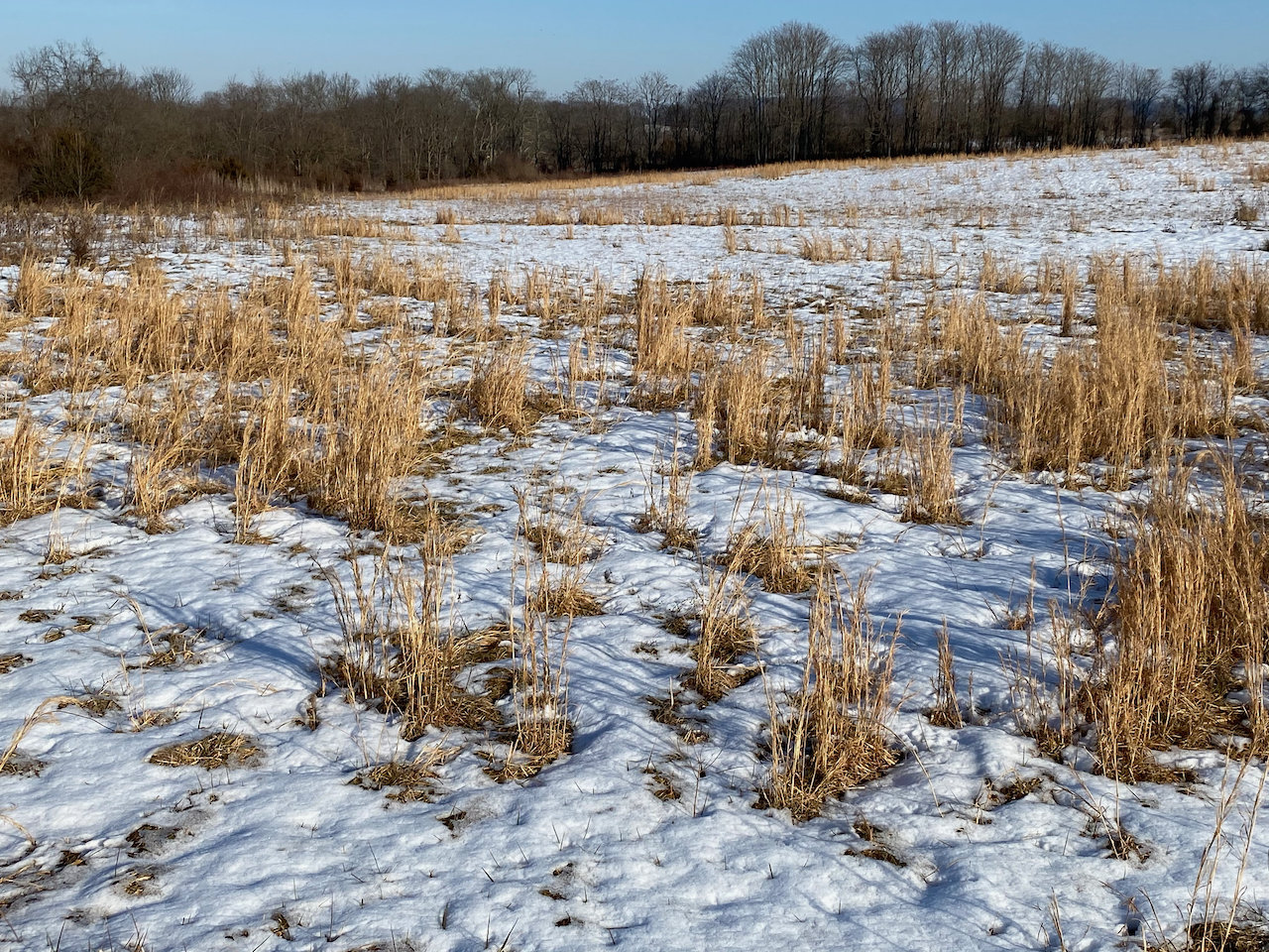 Image for 35 +/- Acres Zoned C-2 & CI-1 in Loudoun County, VA