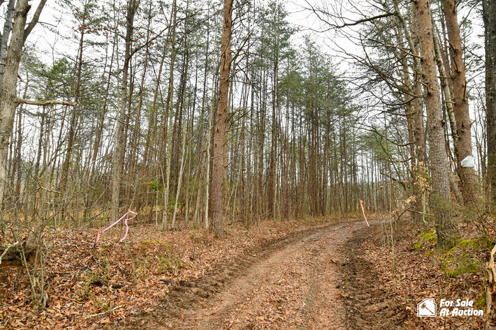 Image for Halifax County, VA #1 NJS Tax Delinquent Real Estate March 2021 #1