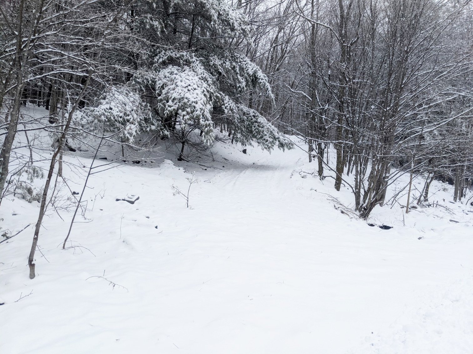 Image for Valuable Highland County Real Estate 4.36  +/- Acres And Improvements