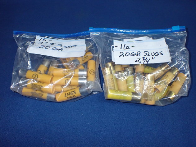 Image for Ammunition & Sporting Items Auction!