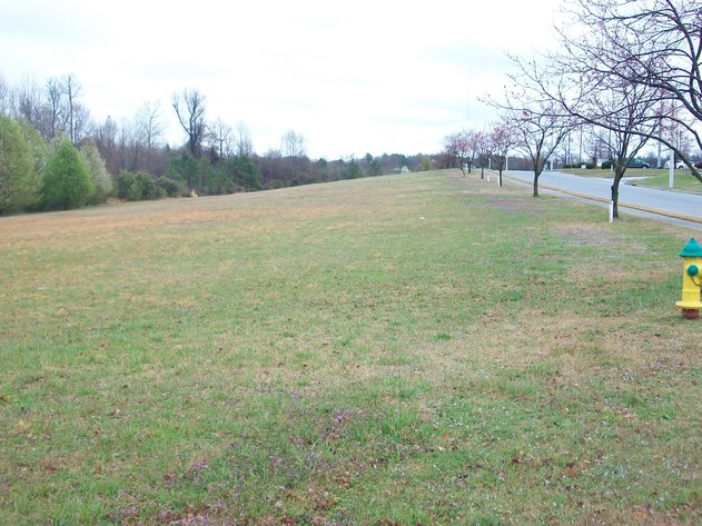 Image for MULTIPLE COMMERCIAL BUILDING SITES Roanoke Rapids, NC