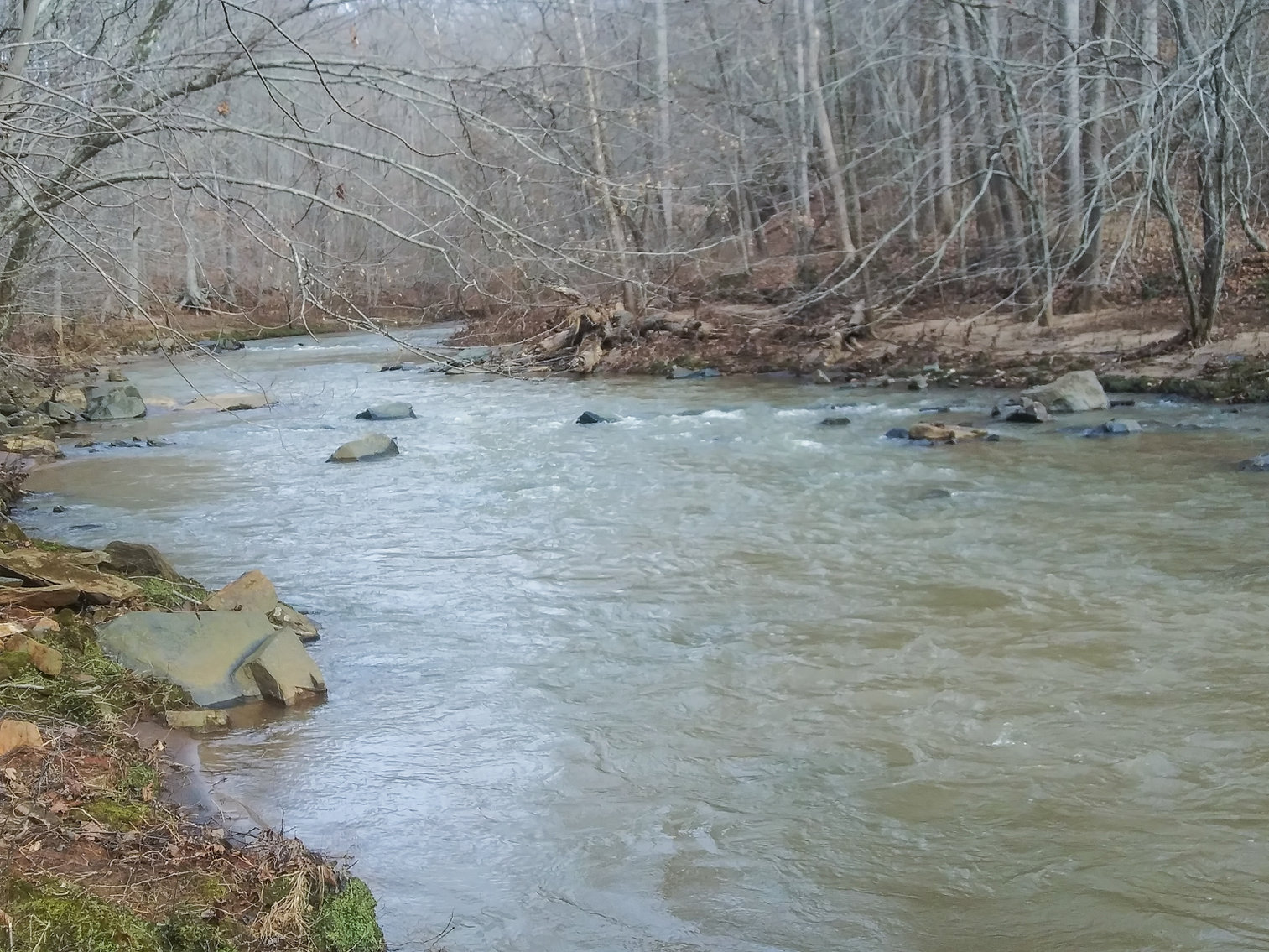 Image for REAL ESTATE AUCTION: River Road, Amherst, VA