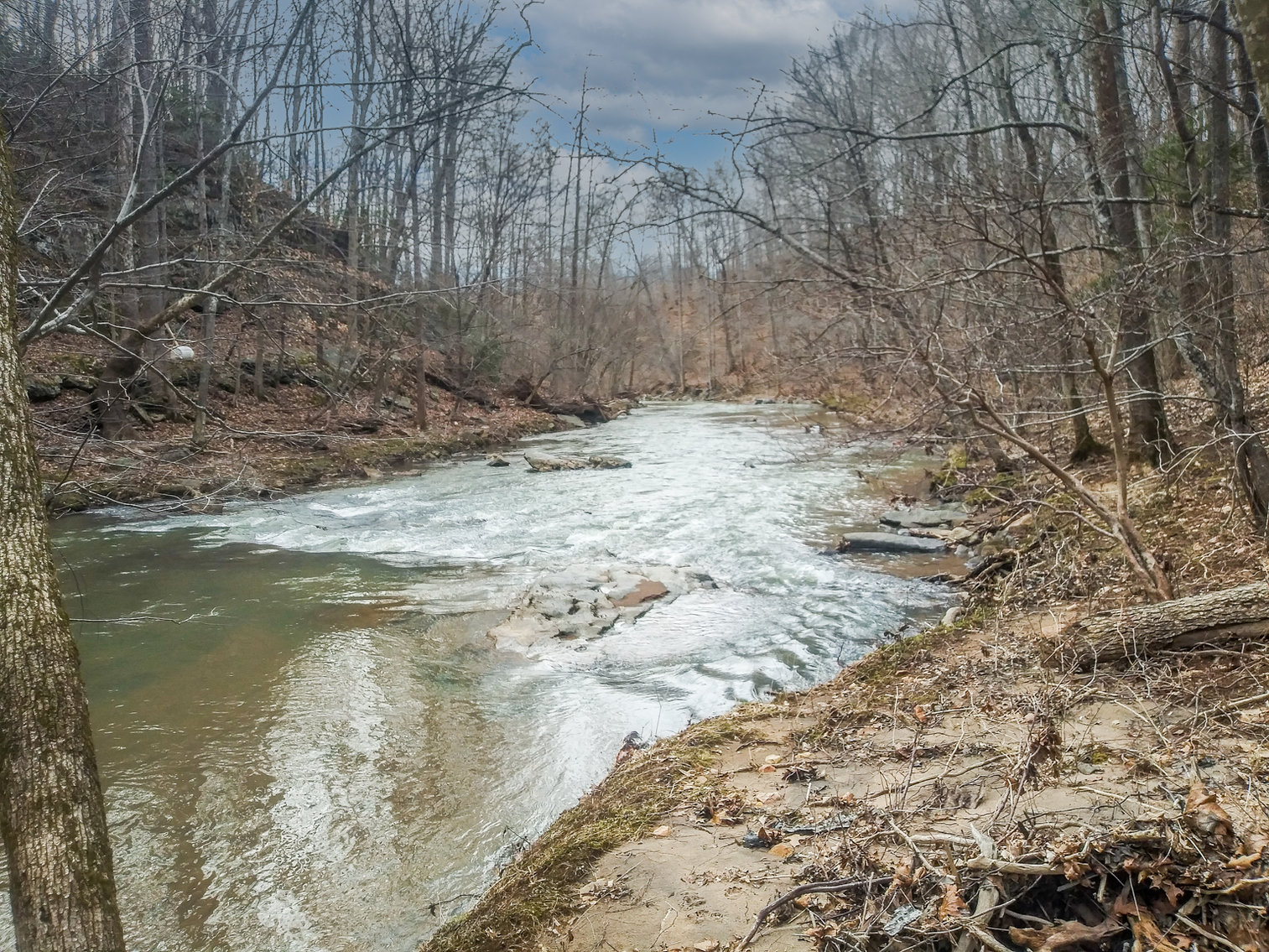 Image for REAL ESTATE AUCTION: River Road, Amherst, VA