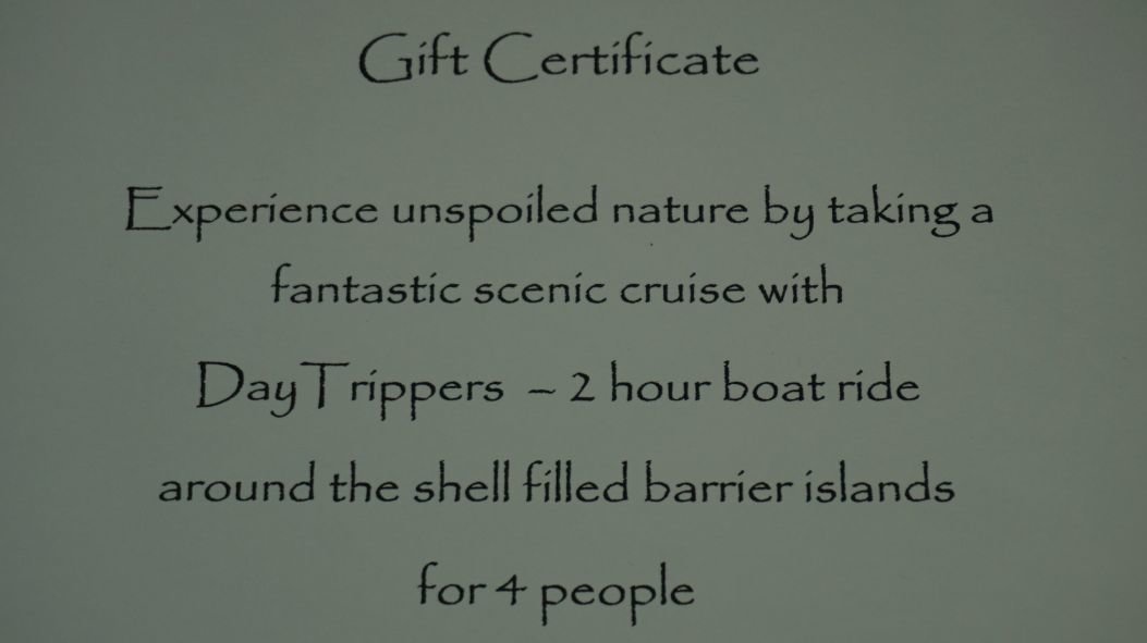 Image for Eastern Shore Regional Library & Heritage Center Online Benefit Auction