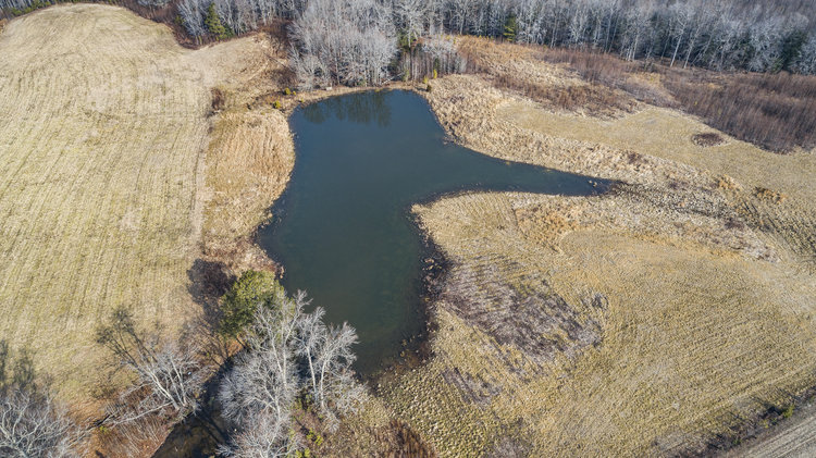 Image for Northern Neck Estate - 6 BR/5BA Custom Built Brick Rancher - 57 AC With Private Pond - Two Car Detached Garage With Workshop - 1151 Dodlyt Rd., Heathsville, VA 22473