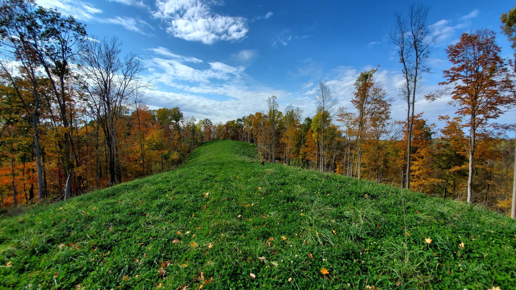 Image for SOLD $242,000 - 110+/- Acre Farm with Well Maintained Home