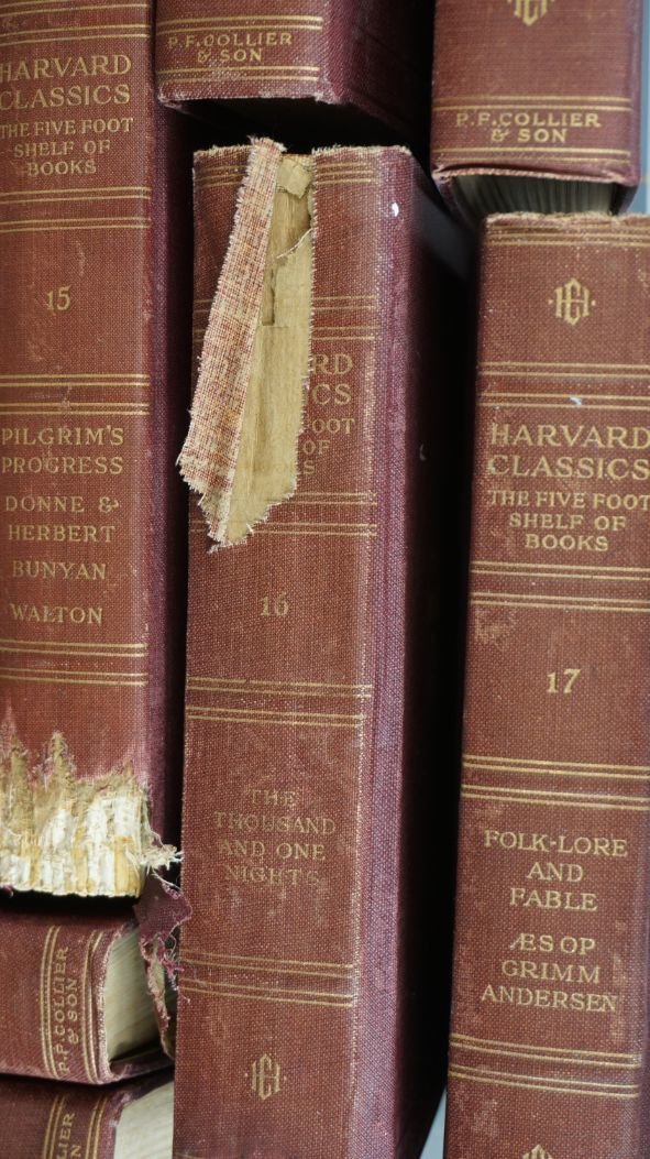 Image for Eastern Shore Regional Library & Heritage Center Online Benefit Auction