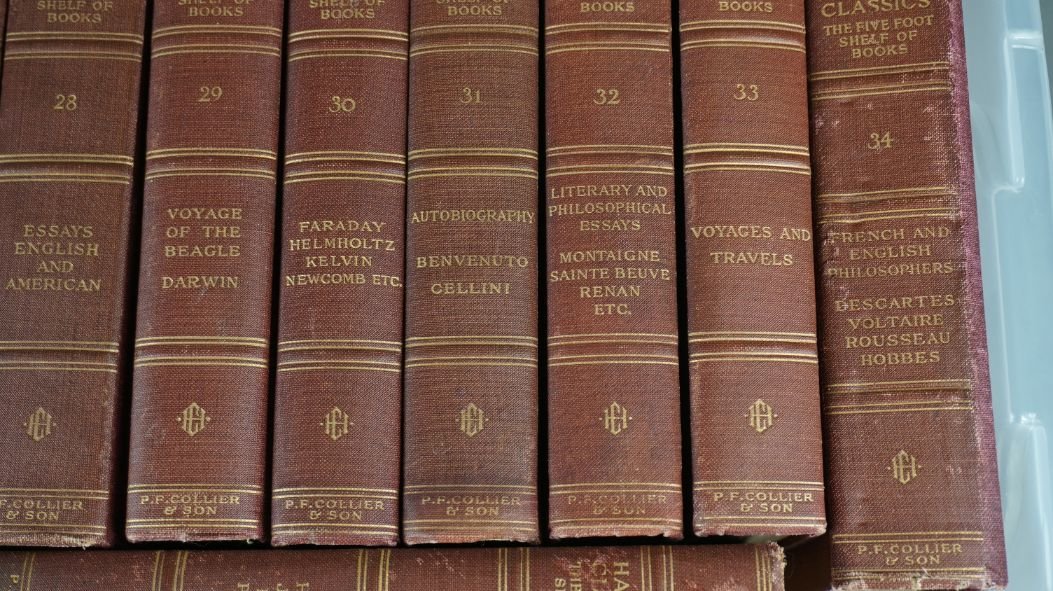 Image for Eastern Shore Regional Library & Heritage Center Online Benefit Auction