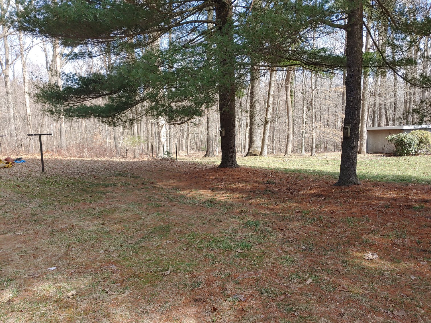 Image for 4 BR BRICK RANCHER W/ ATTACHED GARAGE  ON PRIVATE WOODED 1.22+/- AC CORNER LOT
