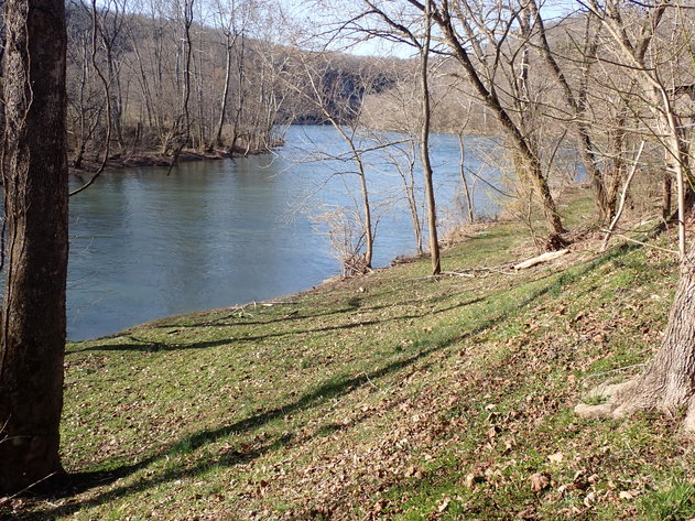 Image for Absolute Real Estate Auction!