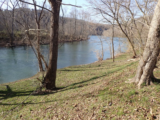 Image for Absolute Real Estate Auction!