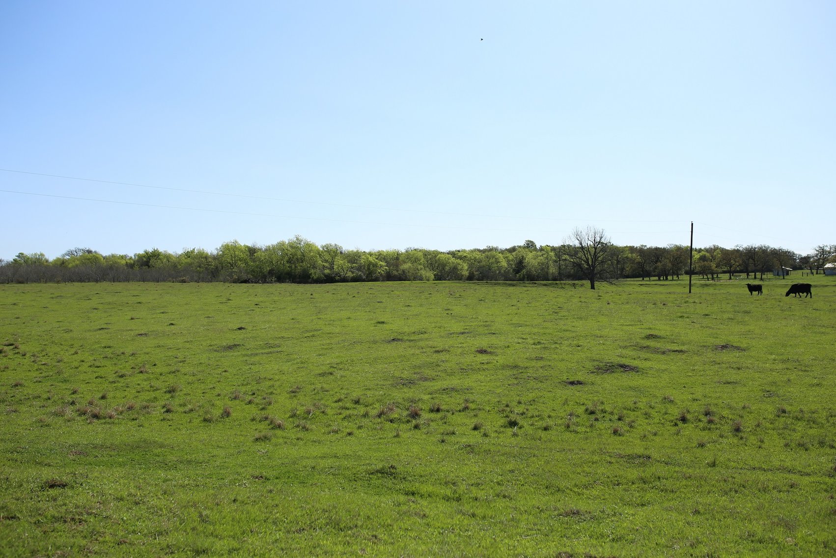 Image for 00 FM 111 Deanville, TX 77852