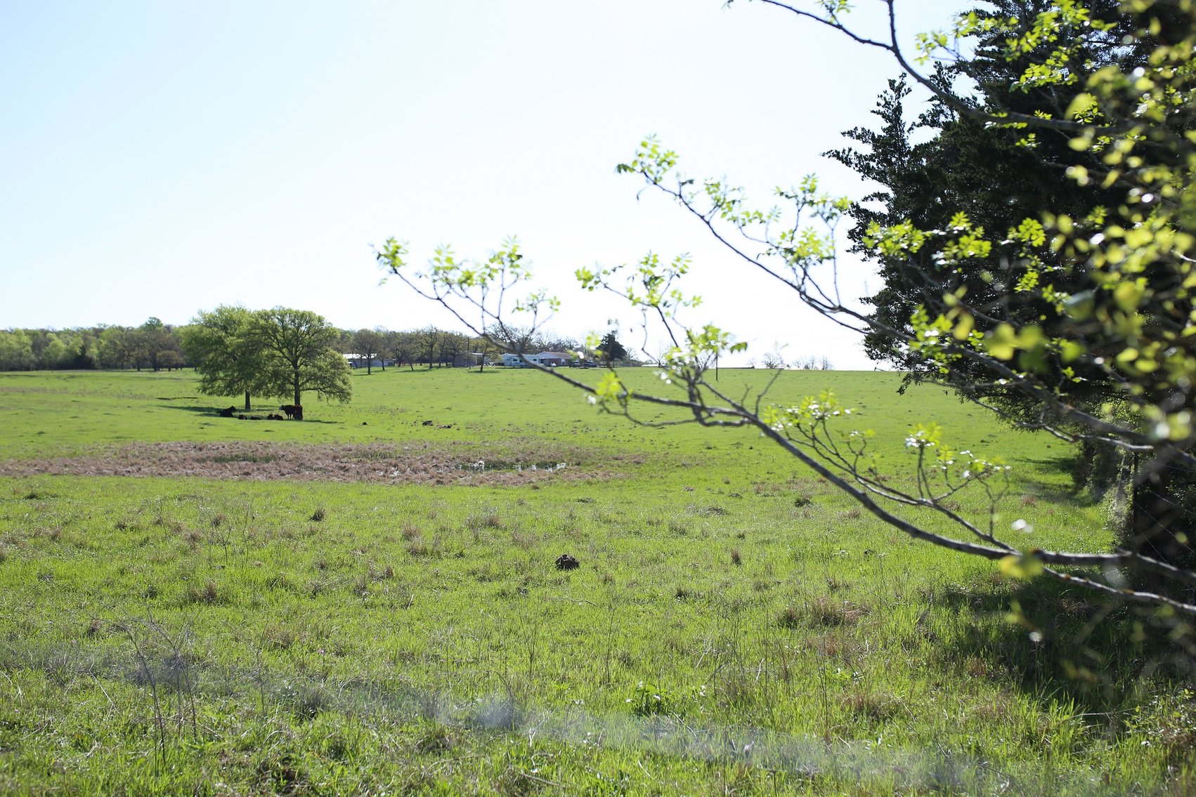 Image for 00 FM 111 Deanville, TX 77852