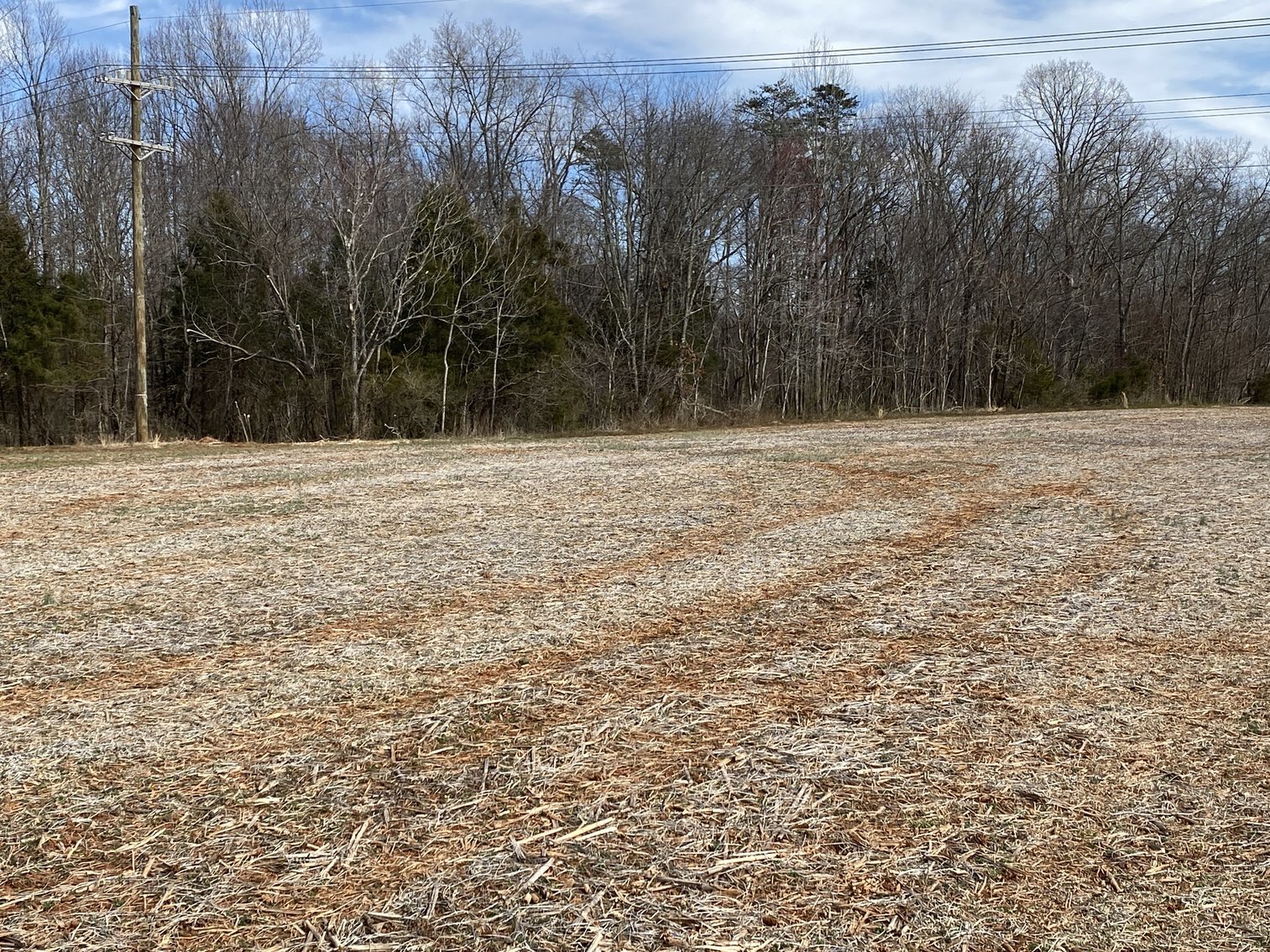 Image for 78.9 +/- Acres of Land in Madison County, VA--SELLING to the HIGHEST BIDDER!!