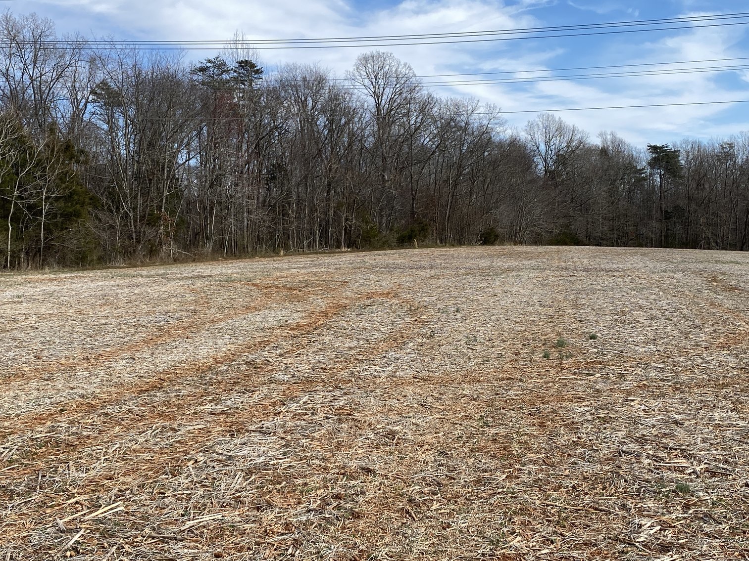Image for 78.9 +/- Acres of Land in Madison County, VA--SELLING to the HIGHEST BIDDER!!