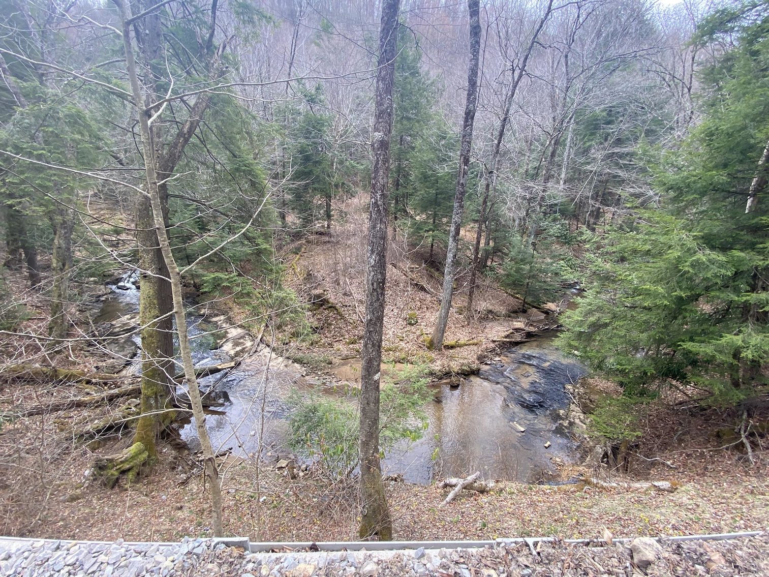 Image for SOLD $242,000 - Hunting Camp on 98 Acres with 3 Bedroom Home