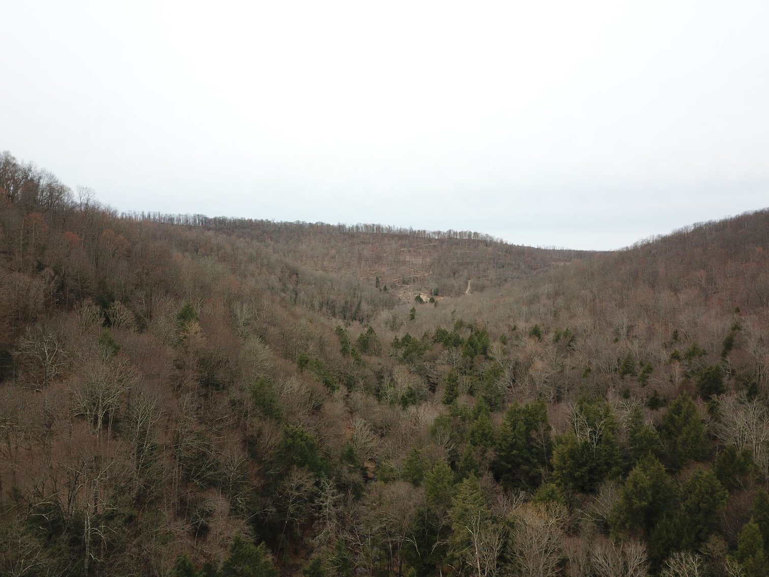 Image for SOLD $242,000 - Hunting Camp on 98 Acres with 3 Bedroom Home