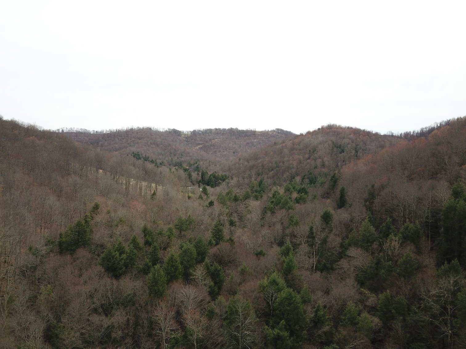 Image for SOLD $242,000 - Hunting Camp on 98 Acres with 3 Bedroom Home