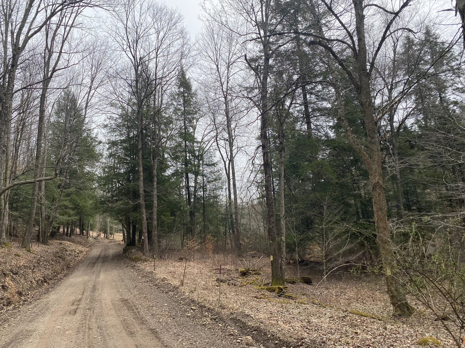 Image for SOLD $242,000 - Hunting Camp on 98 Acres with 3 Bedroom Home