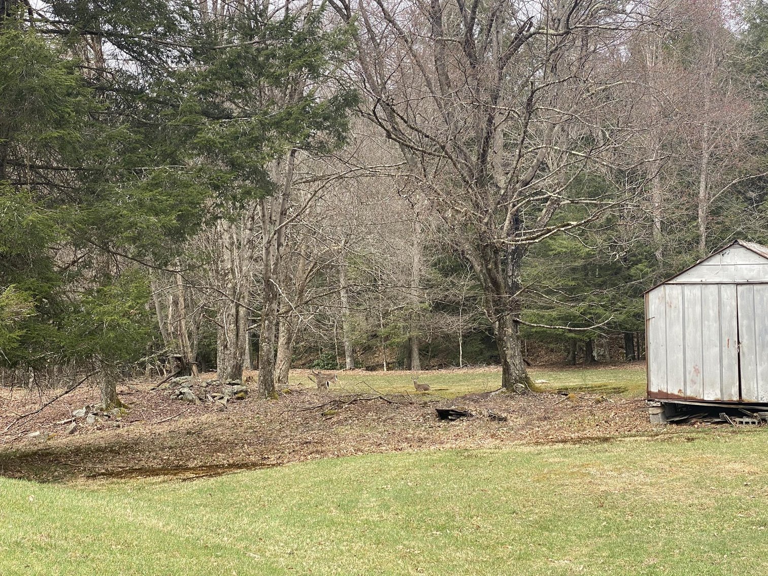 Image for SOLD $242,000 - Hunting Camp on 98 Acres with 3 Bedroom Home