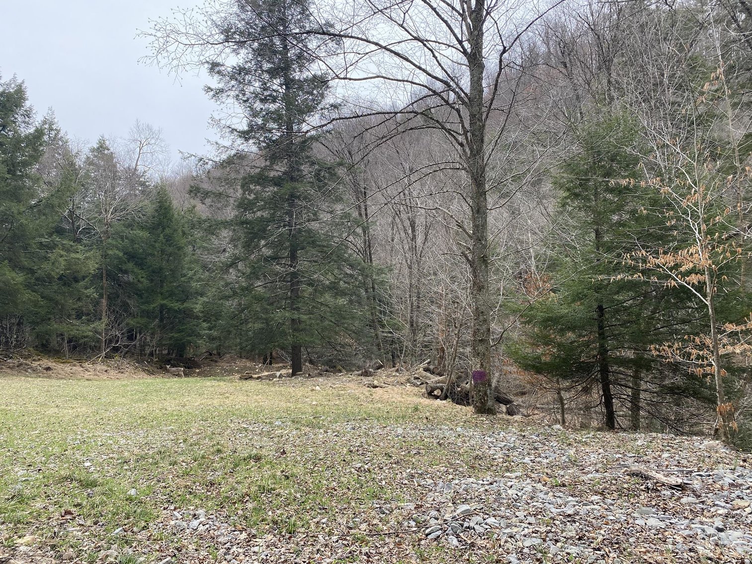 Image for SOLD $242,000 - Hunting Camp on 98 Acres with 3 Bedroom Home