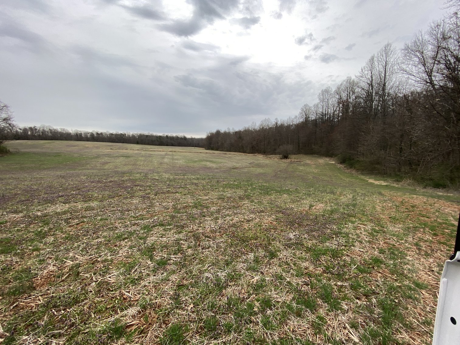 Image for 78.9 +/- Acres of Land in Madison County, VA--SELLING to the HIGHEST BIDDER!!