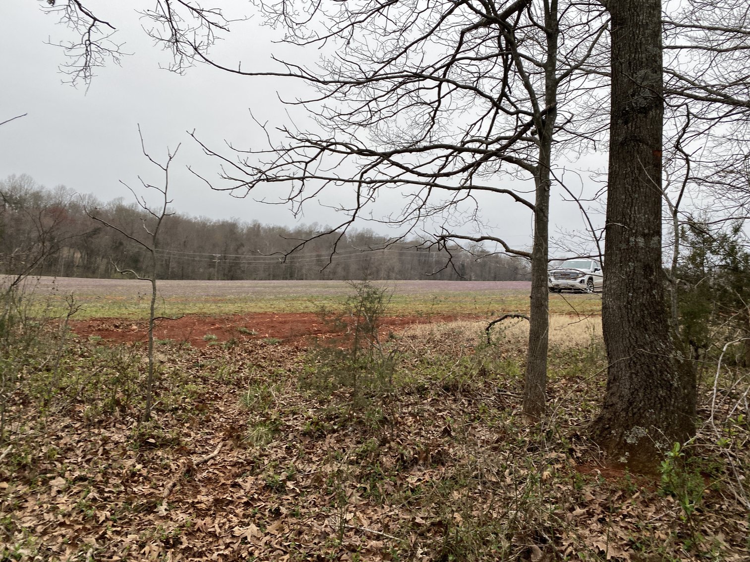 Image for 78.9 +/- Acres of Land in Madison County, VA--SELLING to the HIGHEST BIDDER!!