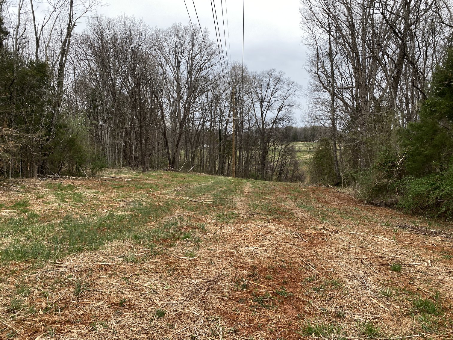 Image for 78.9 +/- Acres of Land in Madison County, VA--SELLING to the HIGHEST BIDDER!!