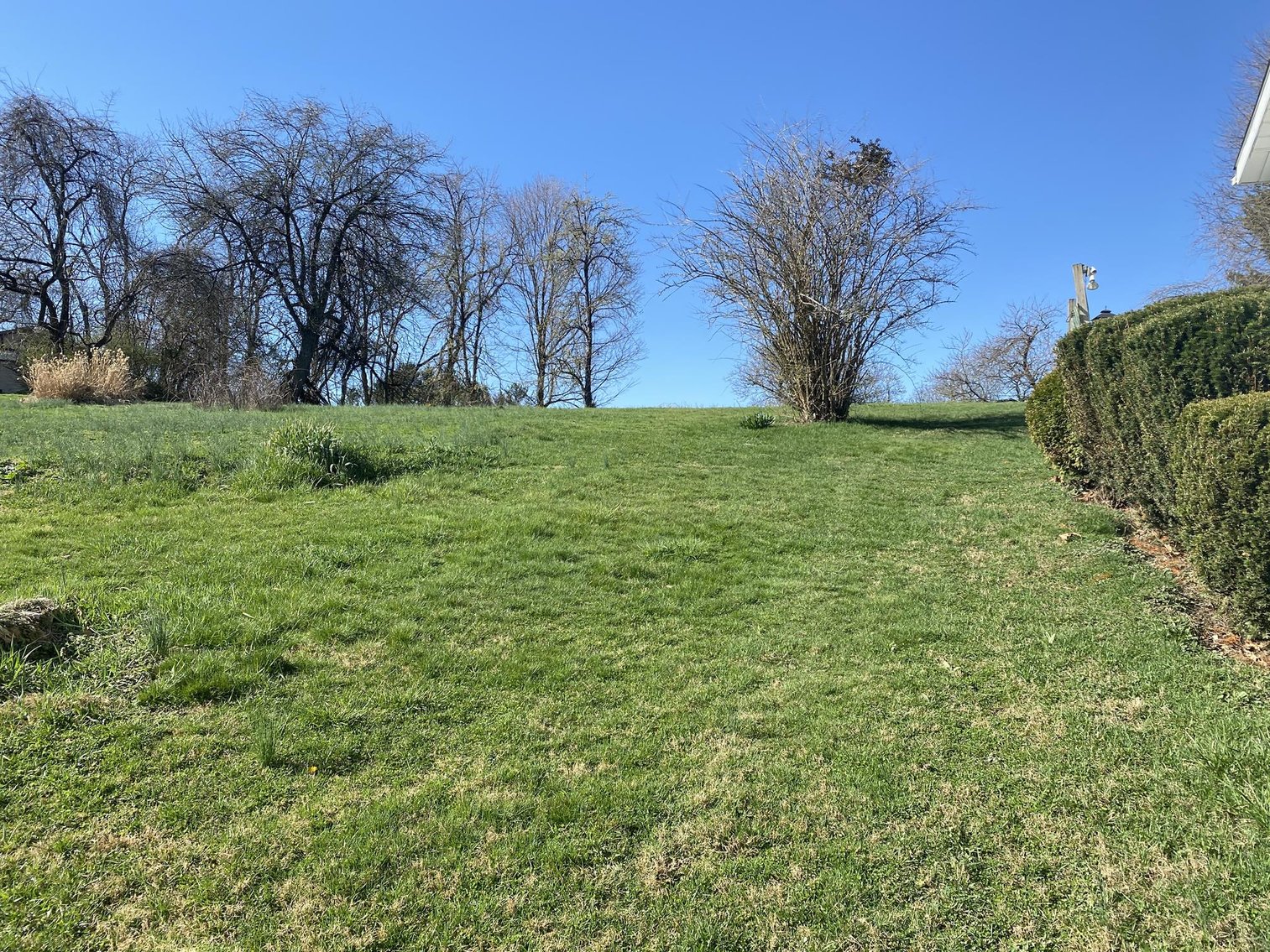 Image for SOLD $82,500 - 3 Bedroom on a Large Lot Selling to the Highest Bidder