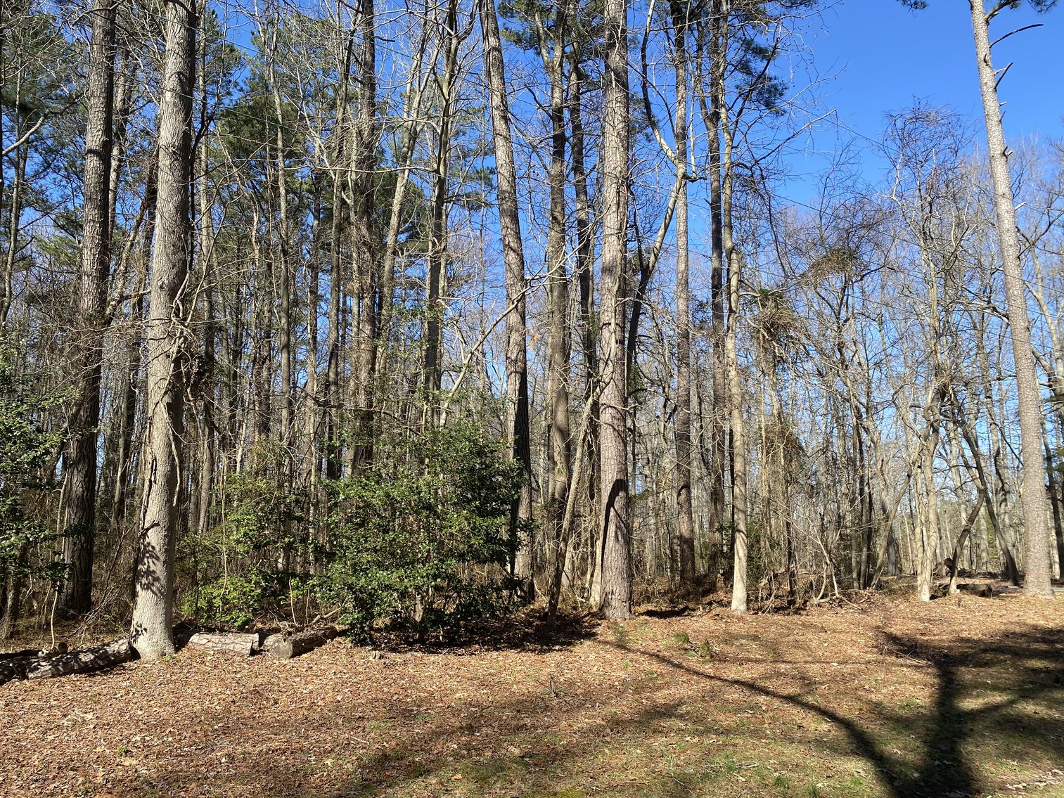 Image for (3) Northern Neck Water View Homesites, 