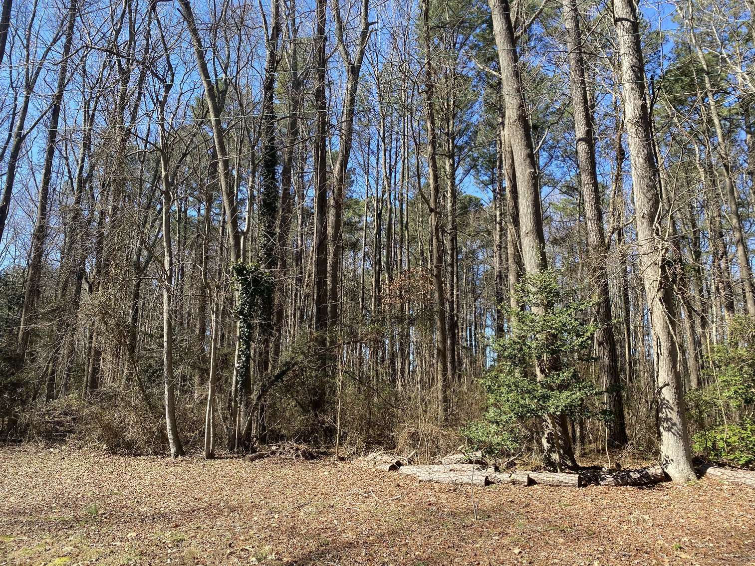 Image for (3) Northern Neck Water View Homesites, 