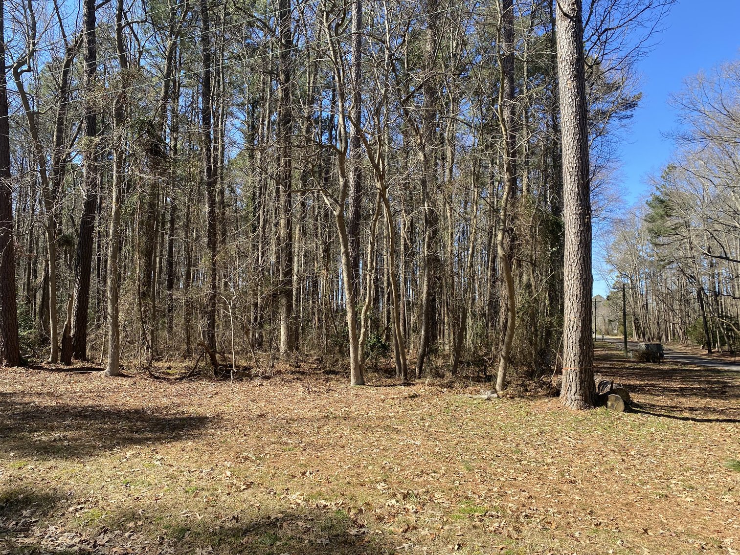 Image for (3) Northern Neck Water View Homesites, 