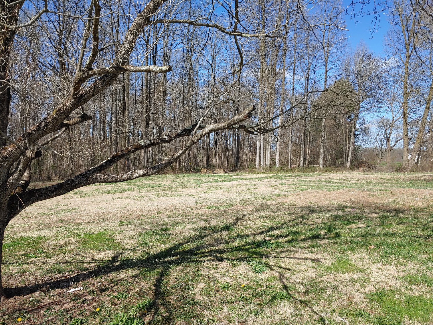 Image for COMPLETELY RENOVATED 3 BEDROOM, 2 BATH VINYL-SIDED RANCHER ON PRIVATE 2.03+/- AC COUNTRY LOT