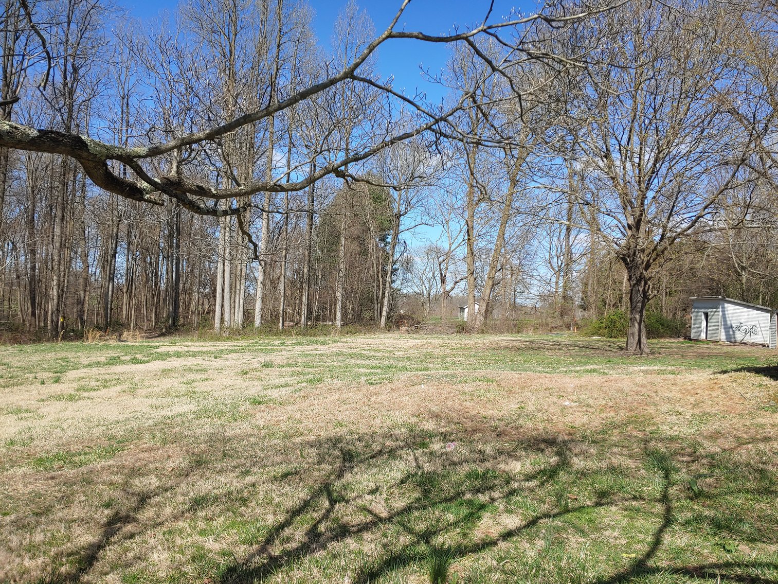 Image for COMPLETELY RENOVATED 3 BEDROOM, 2 BATH VINYL-SIDED RANCHER ON PRIVATE 2.03+/- AC COUNTRY LOT